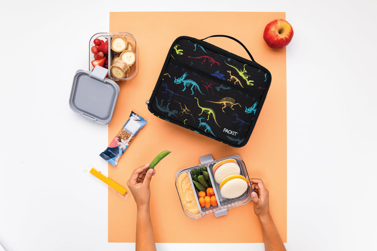 freezable-lunch-box-limited-edition-a2 2022_Lifestyle_Lunch-Box_Dino_Fossils_Hires.jpg